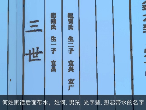 何姓家谱后面带水，姓何,男孩,光字辈,想起带水的名字