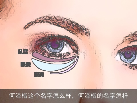 何泽楷这个名字怎么样，何泽楷的名字怎样