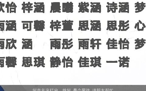 何鑫名字打分，姓何,是个男孩,请朋友帮忙取一名字,要好听的,中间要有钅或金...