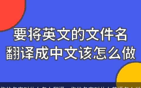 你的名字叫什么怎么翻译，你的名字叫什么英语怎么说