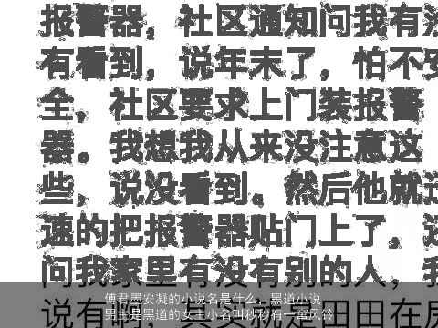 傅君墨安凝的小说名是什么，黑道小说男主是黑道的女主小名叫秒秒有一窜风铃