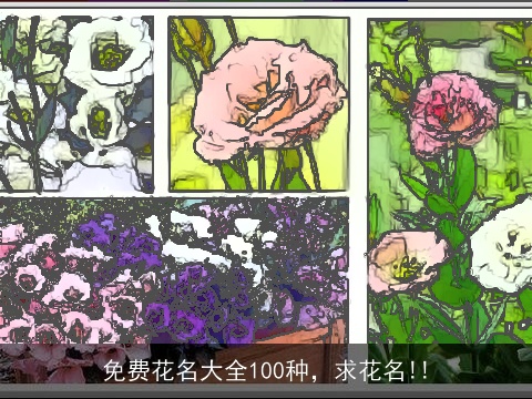 免费花名大全100种，求花名!!