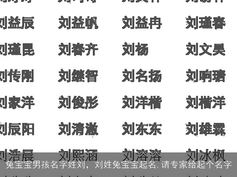 兔宝宝男孩名字姓刘，刘姓兔宝宝起名,请专家给起个名字