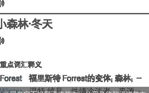 公司名字不好翻译成英文，公司名称翻译成英文