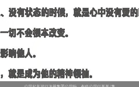 公司起名可以注册集团公司吗，有些公司以某某(集团)有限责任公司命名,请问什么样的公司才...