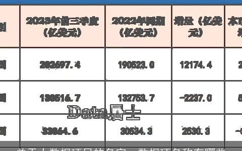 关于大数据项目的名字，数据项名称有哪些