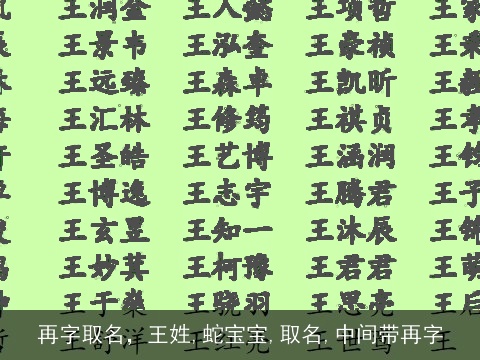 再字取名，王姓,蛇宝宝,取名,中间带再字