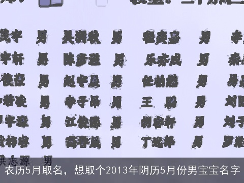 农历5月取名，想取个2013年阴历5月份男宝宝名字