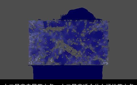 十二星座专属英文名，十二星座适合什么样的英文名