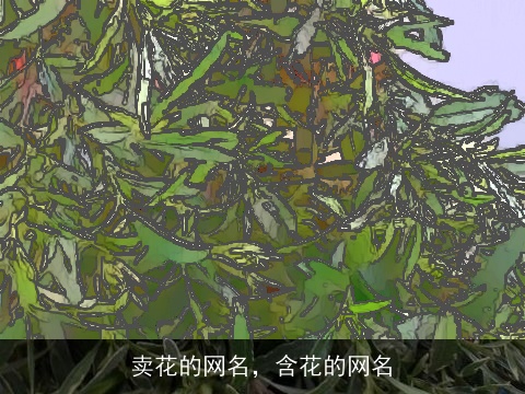 卖花的网名，含花的网名