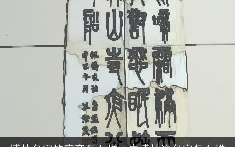 博林名字的寓意怎么样，冉博林这名字怎么样