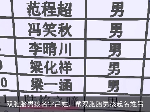 双胞胎男孩名字吕姓，帮双胞胎男孩起名姓吕