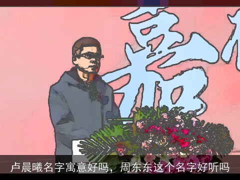 卢晨曦名字寓意好吗，周东东这个名字好听吗