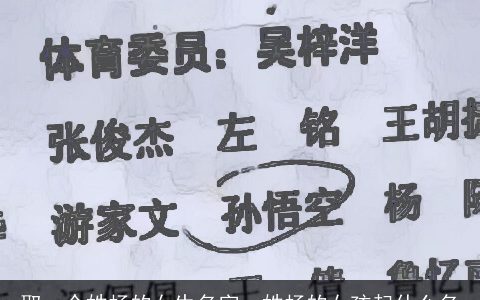 取一个姓杨的女生名字，姓杨的女孩起什么名