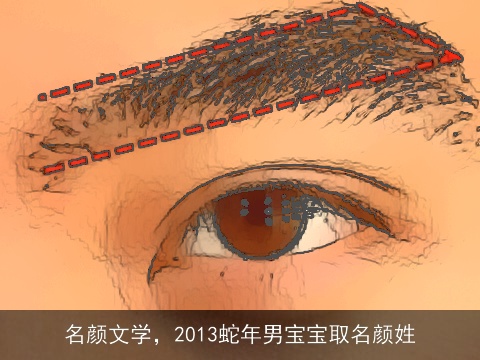 名颜文学，2013蛇年男宝宝取名颜姓