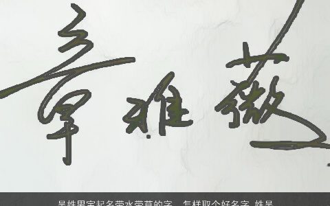 吴姓男宝起名带水带草的字，怎样取个好名字,姓吴,是个男孩,最好是带草字头的,谢谢了哈-...