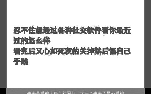 失去最爱的人痛苦的网名，求一个失去了最心爱的人之后,心情不好,能代表心情的伤感网名,...