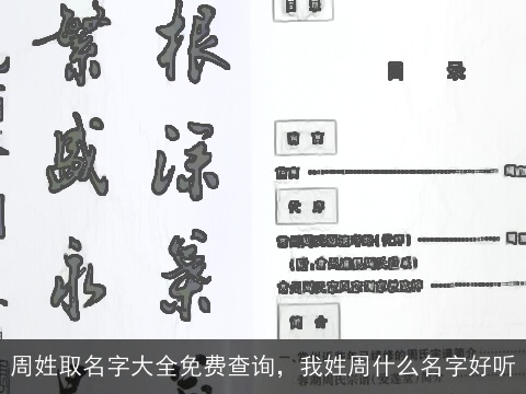 周姓取名字大全免费查询，我姓周什么名字好听