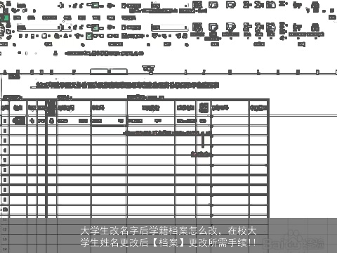 大学生改名字后学籍档案怎么改，在校大学生姓名更改后【档案】更改所需手续!!