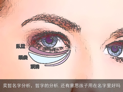 奕哲名字分析，哲字的分析,还有意思孩子用在名字里好吗