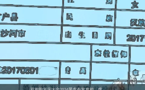 双胞胎名字大全2024属虎有寓意的，虎年双胞胎起名父亲姓孙母亲姓王双胞胎的名字