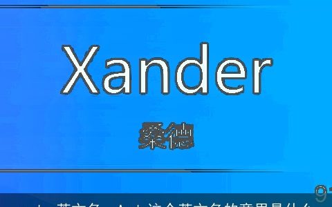 ander英文名，Andy这个英文名的意思是什么