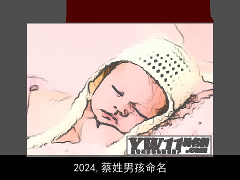 2024,蔡姓男孩命名