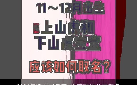 2024年取公司名字,比较顺的公司起名