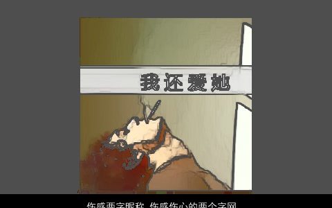 伤感两字昵称,伤感伤心的两个字网名大全,伤感伤感的昵称网名名字大全