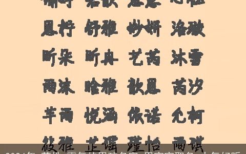 2024年,苏姓,霸气的男孩名字,男宝宝取名,大气好听