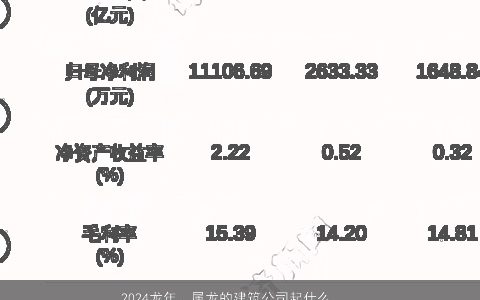 2024龙年，属龙的建筑公司起什么名字好？建筑工程公司取名常用字推荐