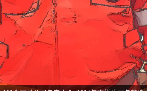 300个吉祥公司名字大全,2024年吉祥公司名精选