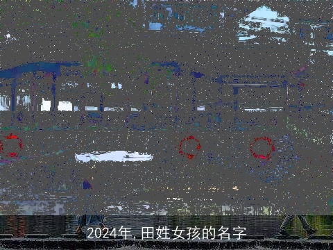 2024年,田姓女孩的名字