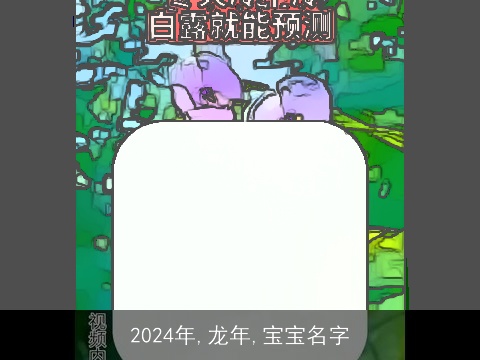 2024年,龙年,宝宝名字