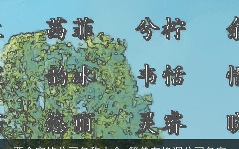 两个字的公司名称大全,简单有格调公司名字