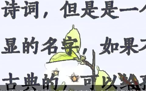 2024年5月24日生女孩,如何取名为宝宝起一个吉祥大气的好名字