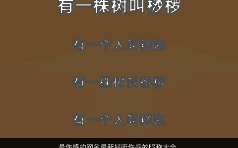 最伤感的网名最新好听伤感的昵称大全,伤感好听伤感的网名昵称名字大全,精挑