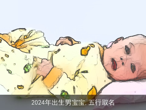 2024年出生男宝宝,五行取名