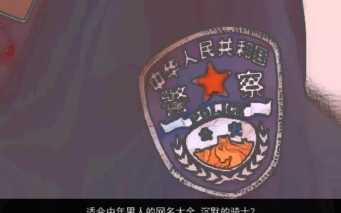 适合中年男人的网名大全,沉默的骑士2024好听吉利的男网名名字大全,最新