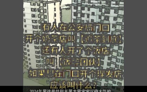 2024年男孩最佳取名属龙男宝宝沉稳大气的名字大全,有个性大气的男孩牛男宝宝名字大全