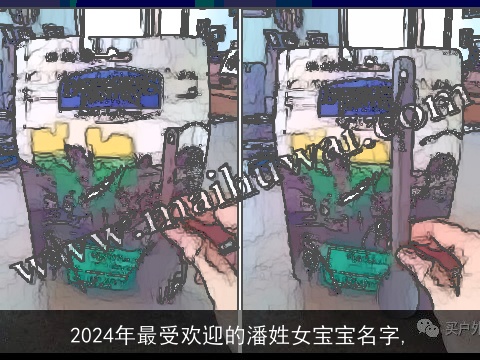 2024年最受欢迎的潘姓女宝宝名字,