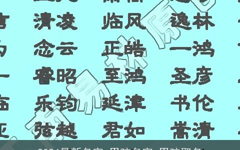 2024最新名字,男孩名字,男孩取名