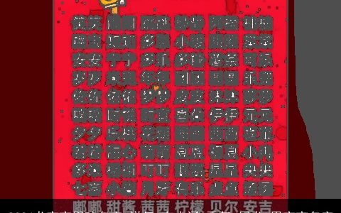 2024龙宝宝男孩名字,洋气,有内涵,霸气,属龙,男宝宝名字