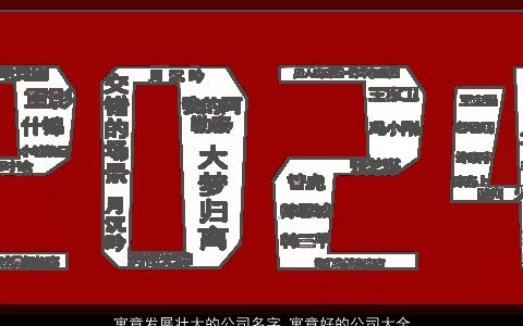 寓意发展壮大的公司名字 寓意好的公司大全,名2024 寓意寓意的公司公司名字最新