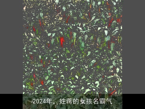 2024年，姓蒋的女孩名霸气