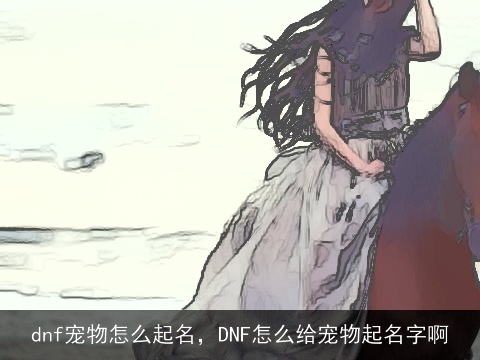 dnf宠物怎么起名，DNF怎么给宠物起名字啊