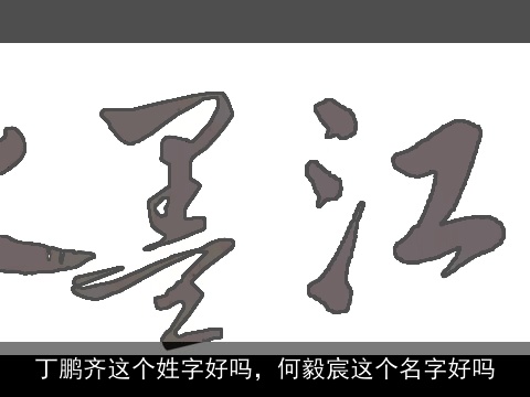 丁鹏齐这个姓字好吗，何毅宸这个名字好吗