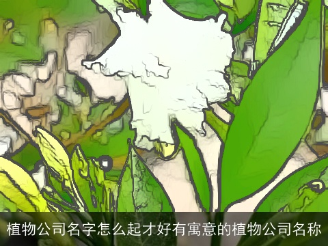 植物公司名字怎么起才好有寓意的植物公司名称