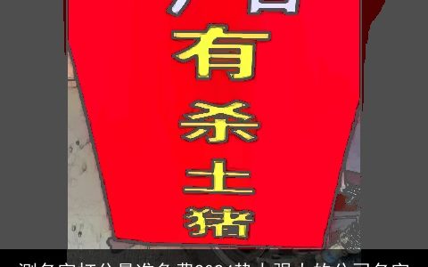 测名字打分最准免费2024势力强大的公司名字