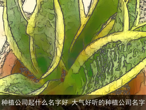 种植公司起什么名字好 大气好听的种植公司名字